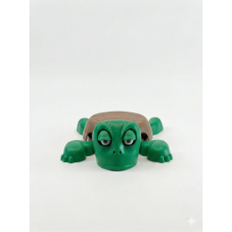 كوستر سلحفاة 