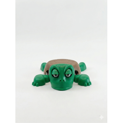 كوستر سلحفاة كوستر سلحفاة