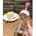 Starbucks Bear Glass مج ستاربكس زجاجي (591ml)